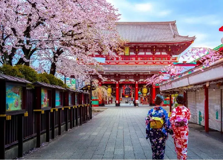 The Best Time to Visit Japan: Seasonal Guide